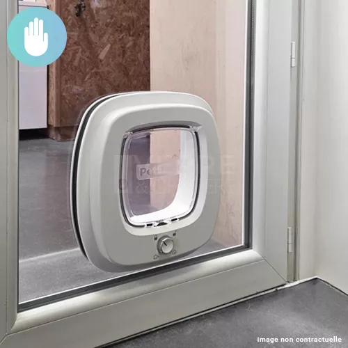 Double vitrage standard avec chatière pour gros chat