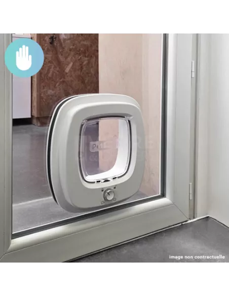 chatière gros chat dans double vitrage