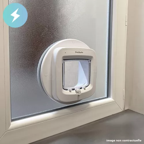 chatière electronique - Double vitrage granité G200 sur-mesure avec trou pour chatière